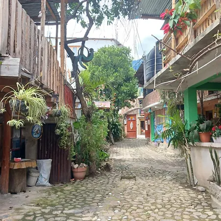 Pachamama Hostel-3